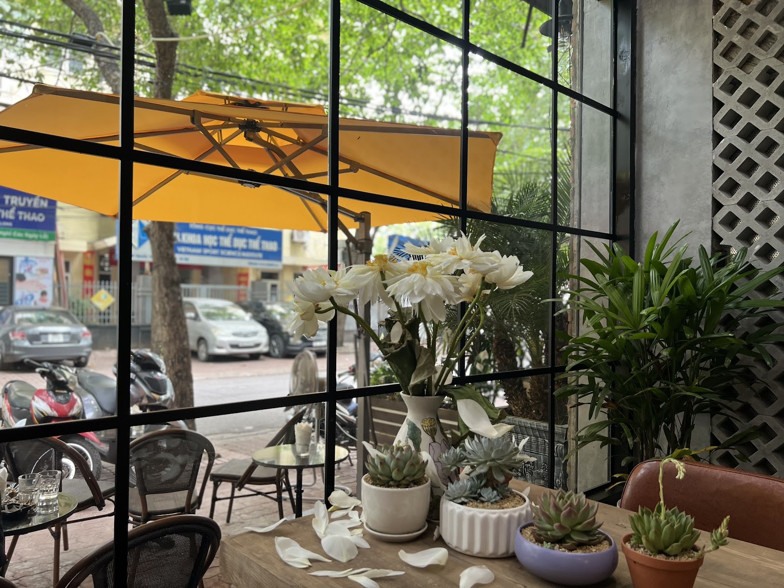 Clubhouse cafe